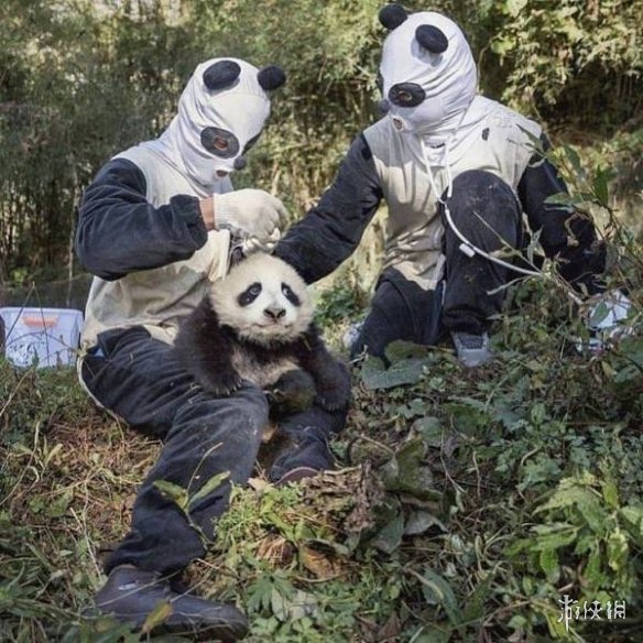 游侠网